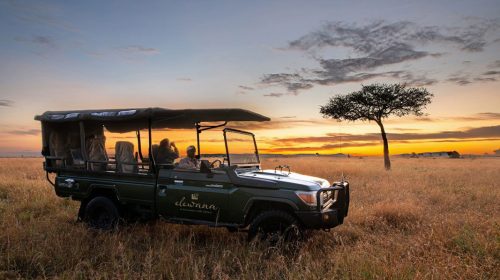 Elewana-Sand-River-Game-drive-at-sunrise.jpg
