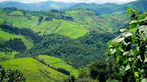 Gishwati Mukura National Park