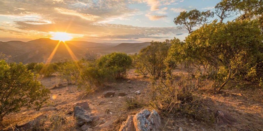 Sunset Masai Mara Mara Bushtop Camp